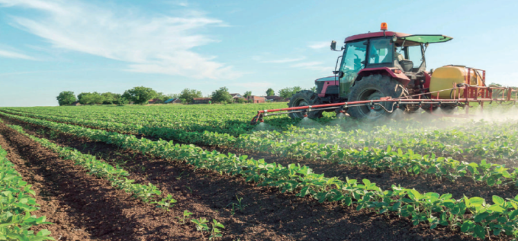 Apoyan a 149,000 productores del campo en Edomex