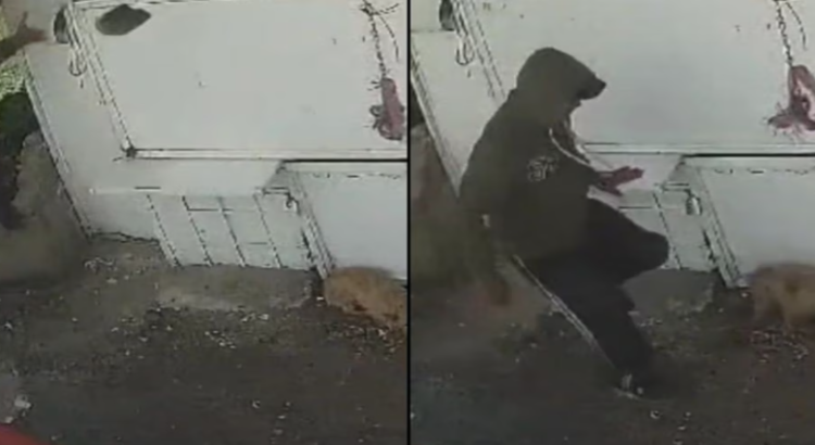 Captan a trabajador de limpia golpeando a perrito en Naucalpan