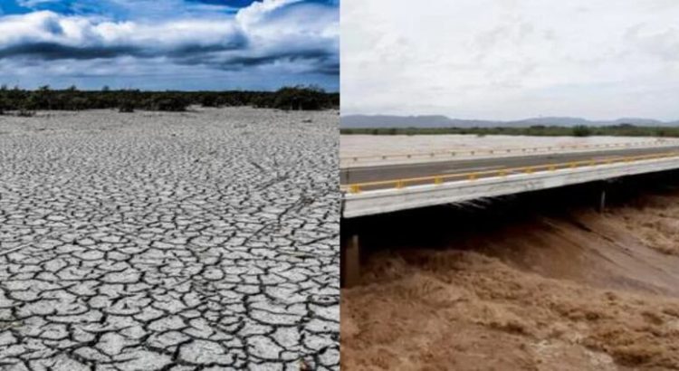 Más del 90% del Edomex padece sequía