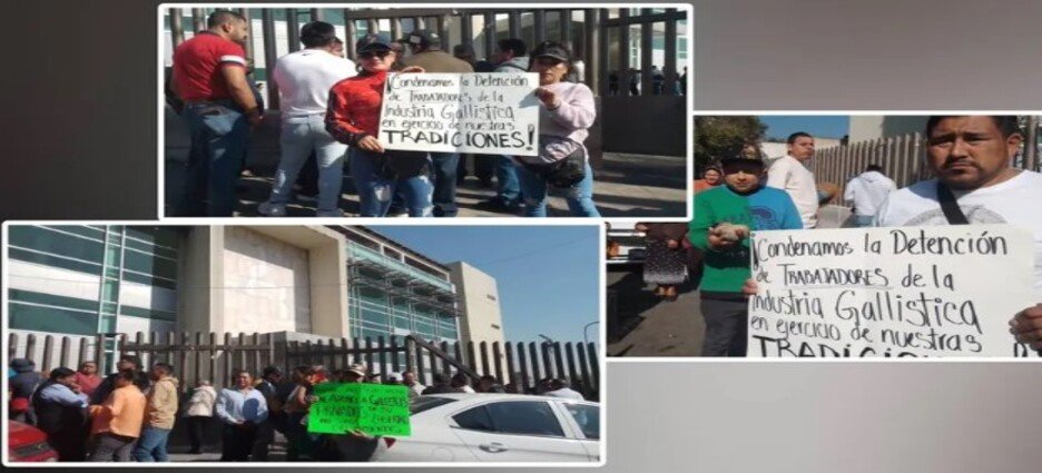 Familiares exigen libertad inmediata para detenidos por peleas de gallos en Naucalpan