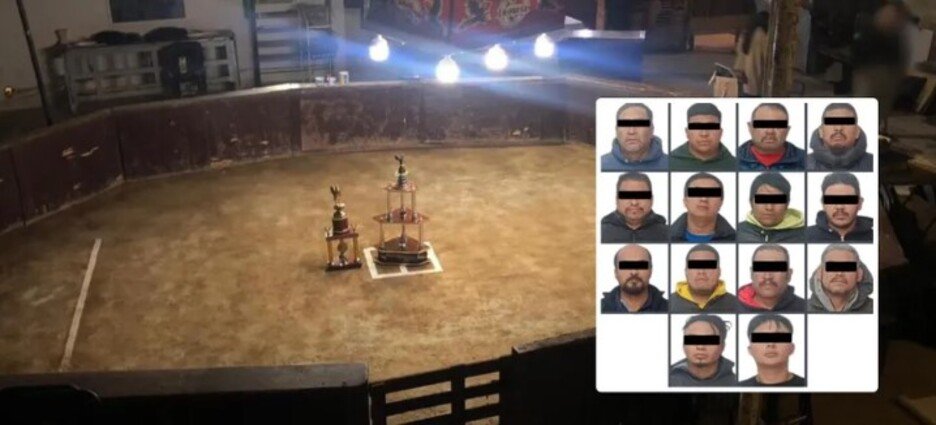 Autoridades liberan a galleros detenidos en Naucalpan