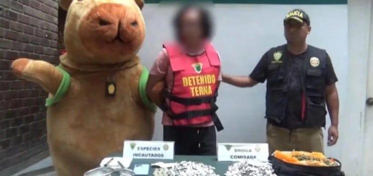 Policía disfrazado de capibara captura a traficante de drogas