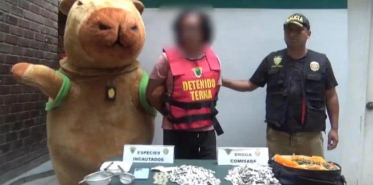 Policía disfrazado de capibara captura a traficante de drogas