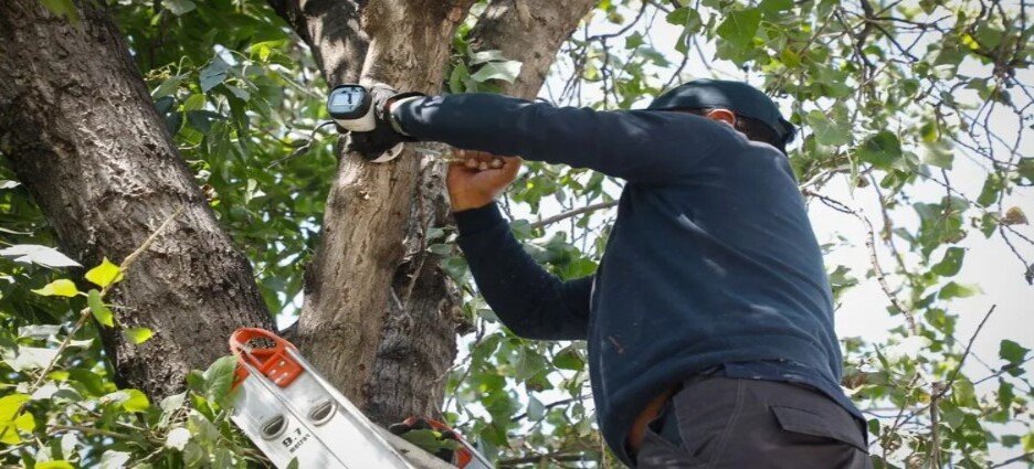 Al momento, se han retirado 208 cámaras de videovigilancia ilegales en Naucalpan