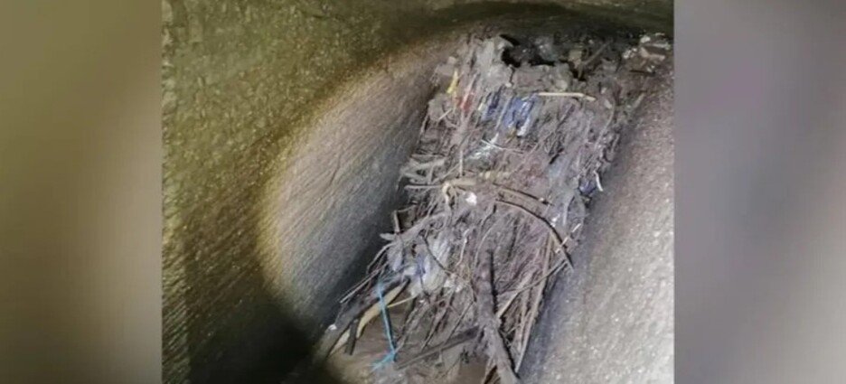 Realizan trabajos para retirar basura de la presa 'Los Cuartos' en Naucalpan