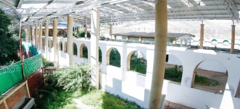 Habilitan nuevas rutas de transporte para ir a Universidad Rosario Castellanos Naucalpan