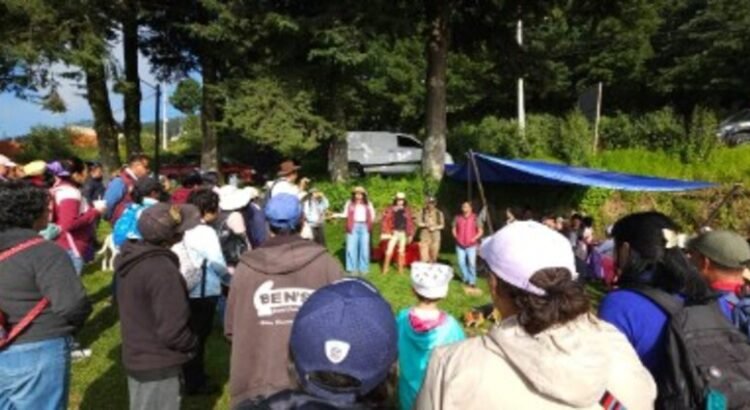 Promueven caminata para la identificación de hongos en San Francisco Chimalpa, Naucalpan Promueven caminata para la identificación de hongos en San Francisco Chimalpa, Naucalpan