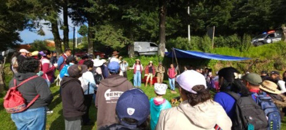 Promueven caminata para la identificación de hongos en San Francisco Chimalpa, Naucalpan
