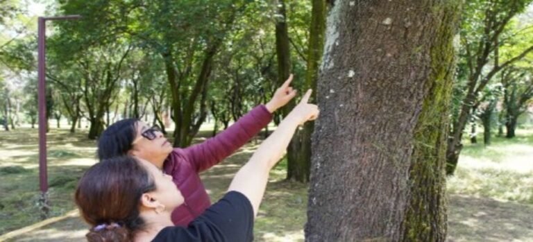 Impulsan estudio científico para preservar la salud del Parque Naucalli﻿ en Naucalpan