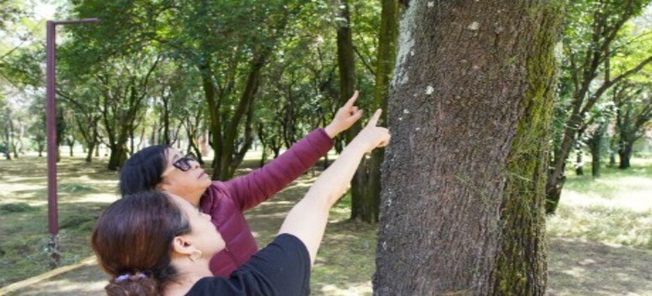 Impulsan estudio científico para preservar la salud del Parque Naucalli﻿ en Naucalpan