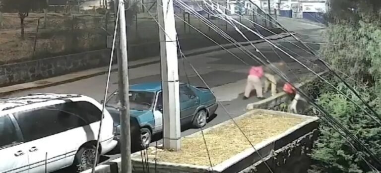 Captan a pareja mientras arrojaban a gatito a barranco en Naucalpan