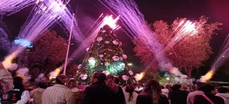 Alcalde de Naucalpan encabeza encendido de árbol navideño