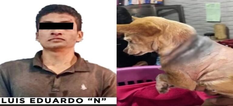 Procesan a hombre por maltrato animal en Naucalpan