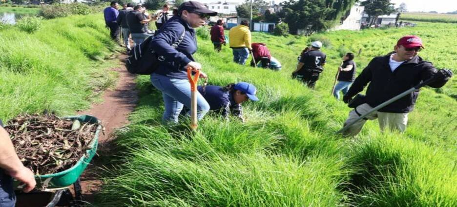 Ayuntamiento impulsa estrategia de arborización para ampliar áreas verdes en Toluca